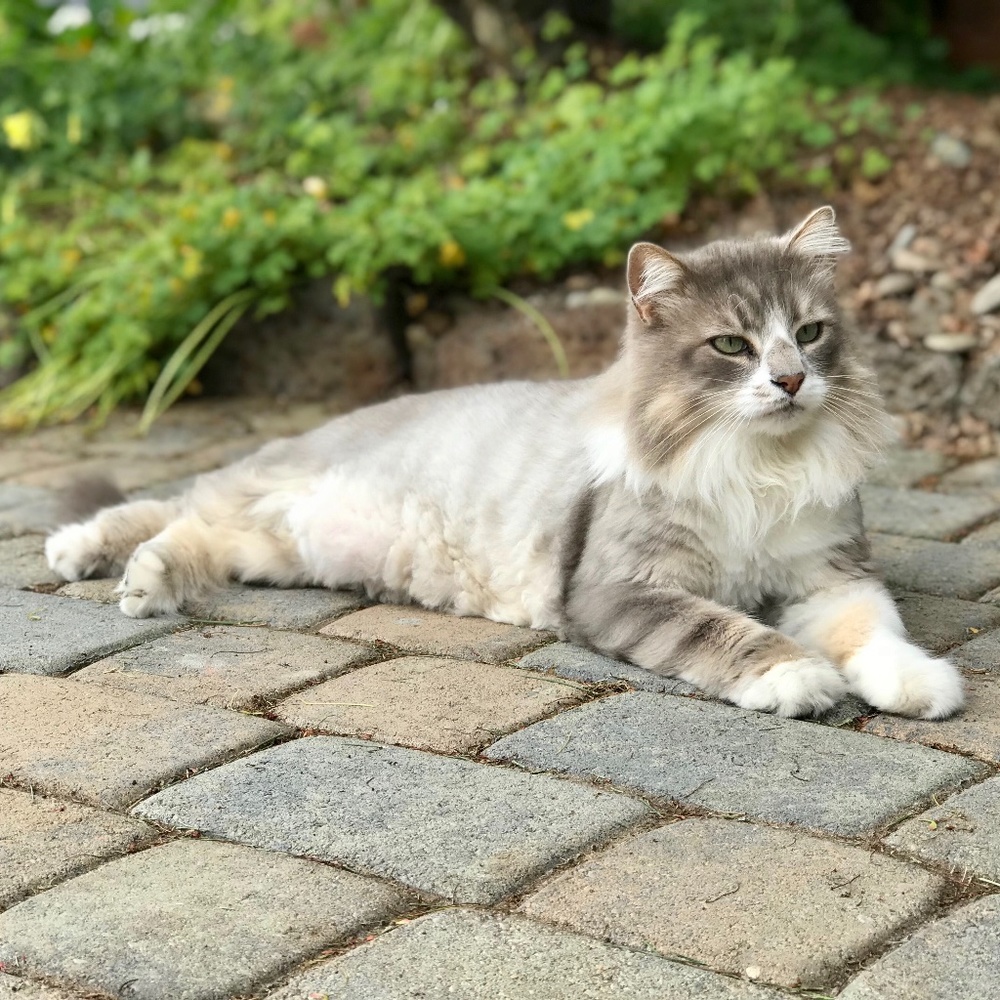 Meet your Posher, Jasmine